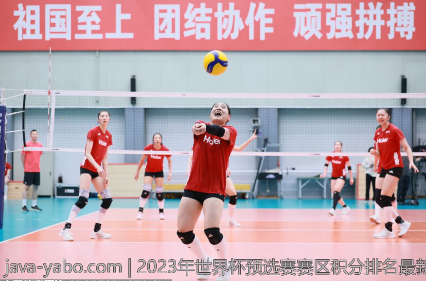 2023年世界杯预选赛赛区积分排名最新揭秘