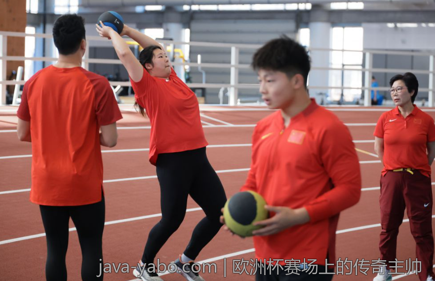 欧洲杯赛场上的传奇主帅
